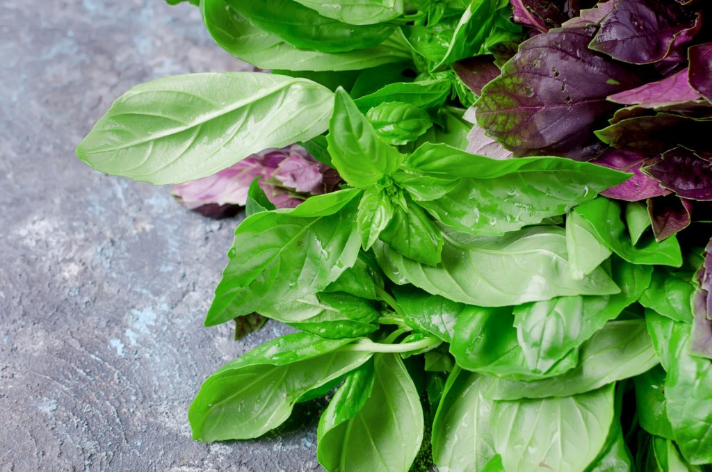 Nápoj, který zpomaluje proces stárnutí. Je bohatý na antioxidanty a obsahuje posvátnou bylinu