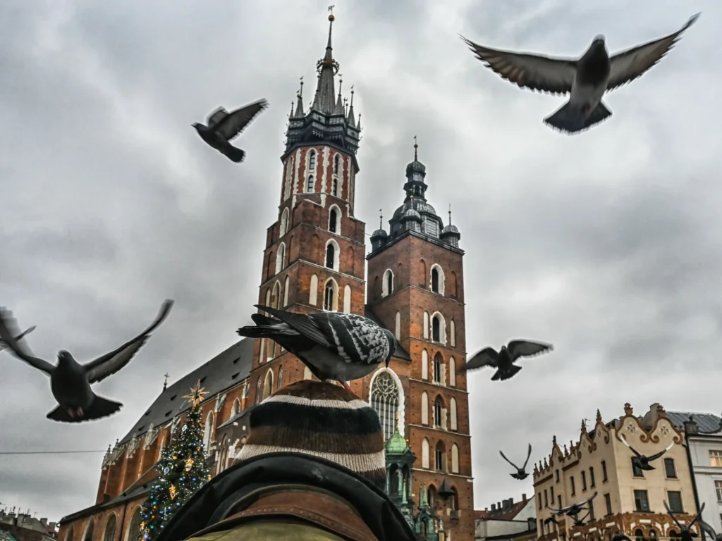 Ptáci létají bez zátěže a lépe než lidská letadla. Známe jejich tajemství